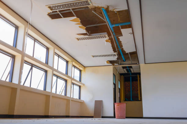 Best Local water damage restoration  in Clifton, NJ