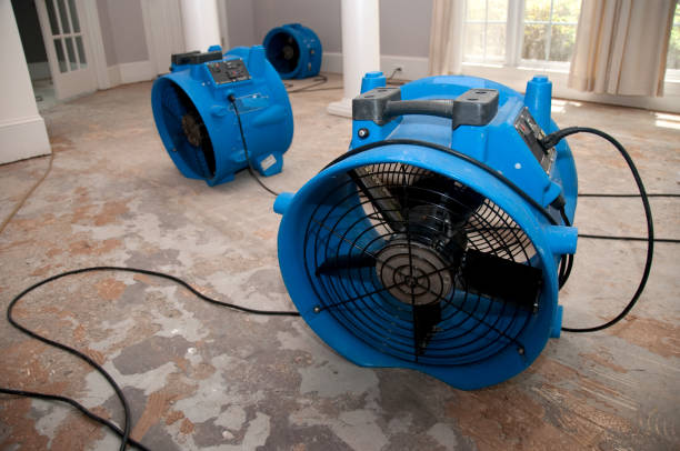 Best Fire Damage Restoration  in Clifton, NJ