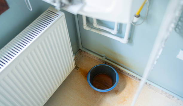 Best Professional water damage repair  in Clifton, NJ