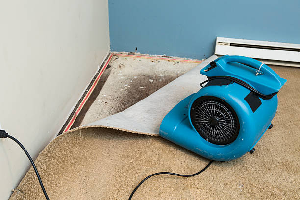 Best Residential water damage restoration  in Clifton, NJ